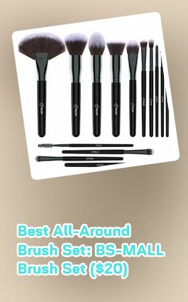 Best makeup brushes set on a budget