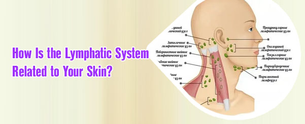 Lymphatic system face